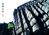 Stone Forest